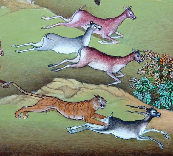 Detail